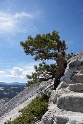 yosemite