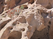 Bandelier 