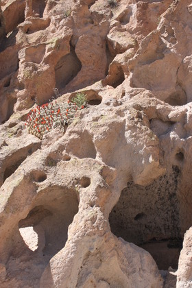 Bandelier 