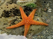 Olympic National Park
