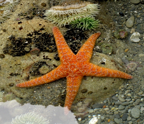 Olympic National Park