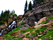 Glacier National Park