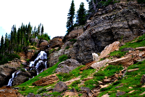 Glacier National Park