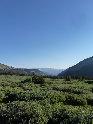 Mount Evans 
