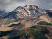 Denali National Park