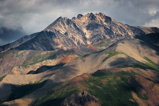 Denali National Park