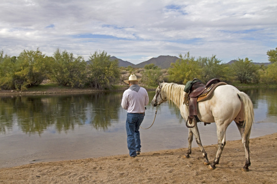 Tonto National Forest