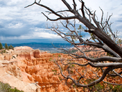Bryce Canyon