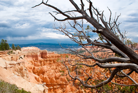 Bryce Canyon