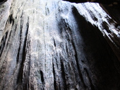 Sequoia National Park