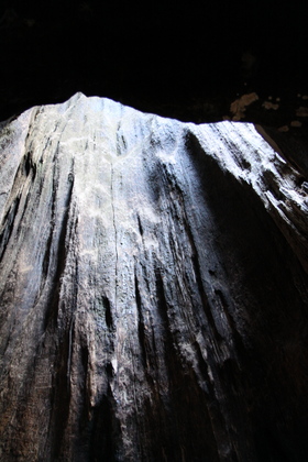 Sequoia National Park
