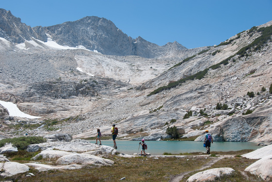Harvey Monroe Hall Research Natural Area (Inyo National Forest, CA)