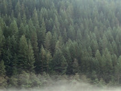 North Cascades