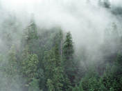 Columbia River Gorge