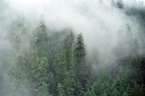Columbia River Gorge