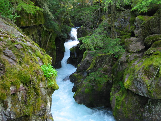 Glacier National Park