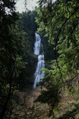 Mt. Baker - Snoqualmie Nat'l Forest