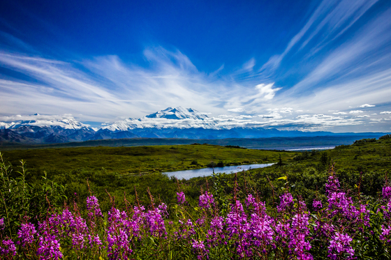 Denali National Park
