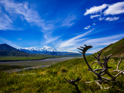 Denali National Park