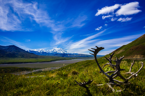 Denali National Park