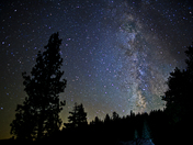 Yosemite National Park