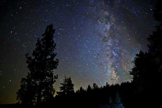 Yosemite National Park