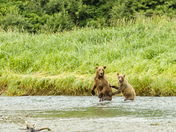 Katmai National Park