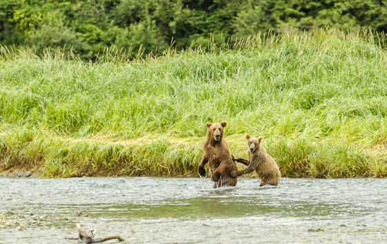 Katmai National Park