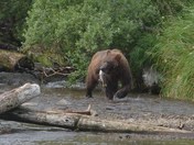 Katmai National Park