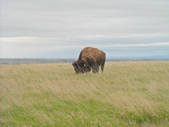 Badlands National Park