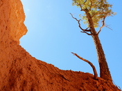 Bryce Canyon National Park