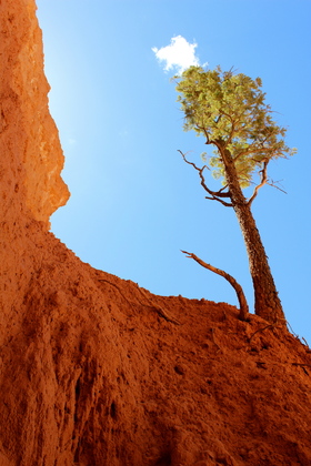 Bryce Canyon National Park