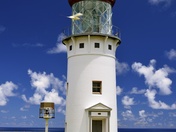Kilauea Point  National Wildlife Refuge