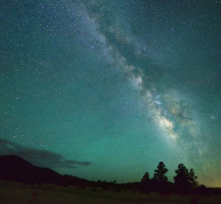 Apache-Sitgreaves National Forest 