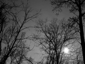 John Heinz Wildlife refuge