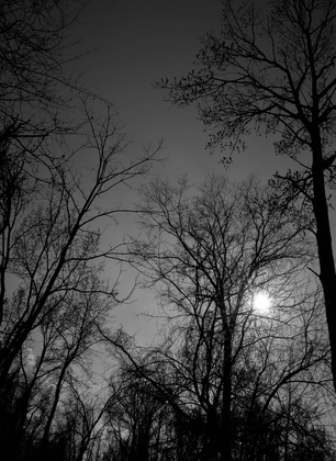 John Heinz Wildlife refuge