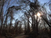 John Heinz Wildlife refuge