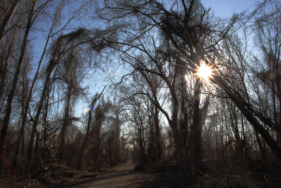 John Heinz Wildlife refuge