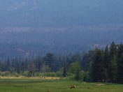 Rocky Mountain National Park
