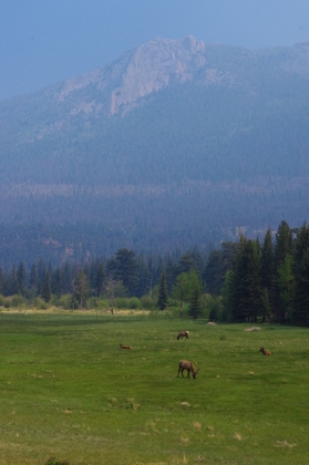 Rocky Mountain National Park