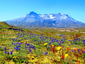 Mount St. Helens National Monument
