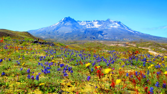 Mount St. Helens National Monument