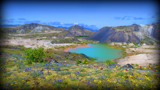 Mount St. Helens National Monument