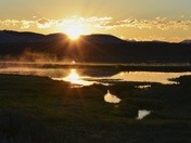 Yellowstone National Park