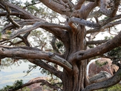 wichita mountains wildlife refuge