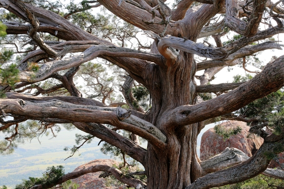 wichita mountains wildlife refuge
