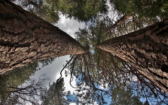 Yosemite