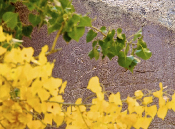 Capitol Reef National Park