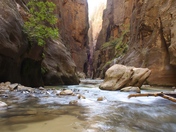 Zion National Park, UT