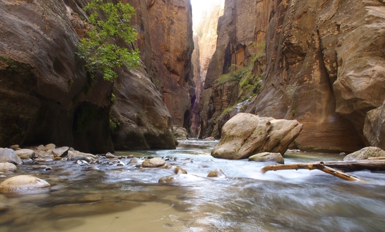 Zion National Park, UT
